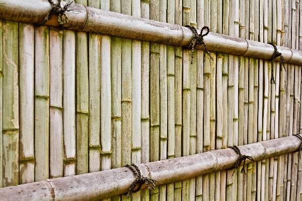 Natuurlijke schutting